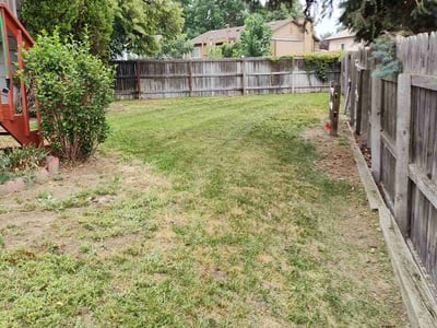 Lawn Care service in Vail, 85641