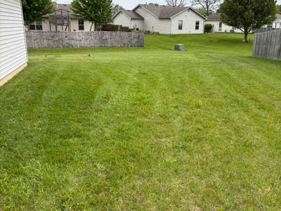 Lawn Care service in New Castle, 16101