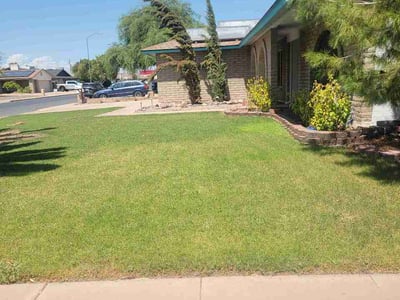 Lawn Care service in Chandler, 85225