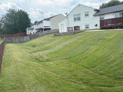 Lawn Care service in Edgewater, 21037