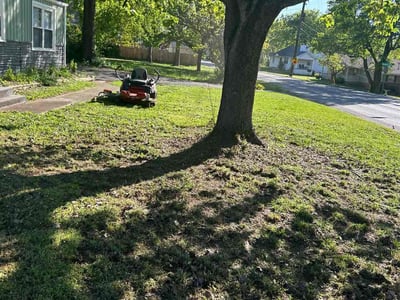 Lawn Care service in Malden, 02148