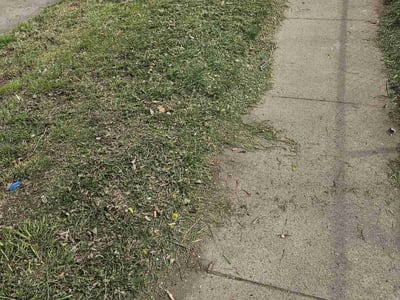 Lawn Care service in Fall River, 02720