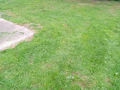 Lawn Care service in Stoneham, 02180