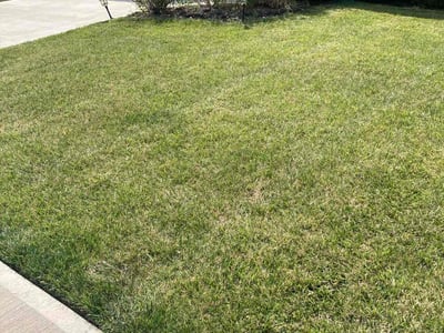Lawn Care service in Waynesboro, 17268