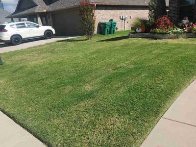 Lawn Care service in Sherman, 75090