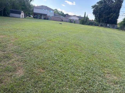 Lawn Care service in Sherman, 75090
