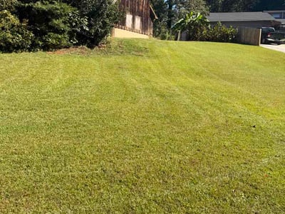 Lawn Care service in Stone Mountain, 30083