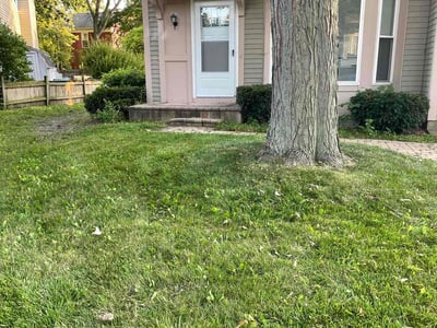 Lawn Care service in Aurora, 60506