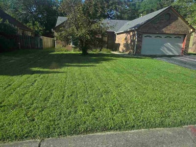 Lawn Care service in Carnegie, 15106