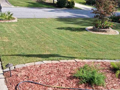 Lawn Care service in Stone Mountain, 30083