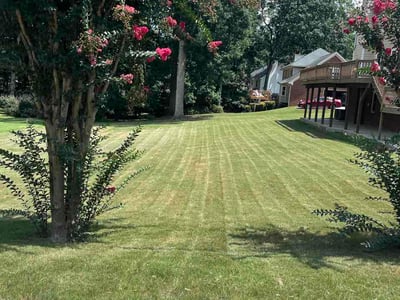 Lawn Care service in Lawrenceville, 30046