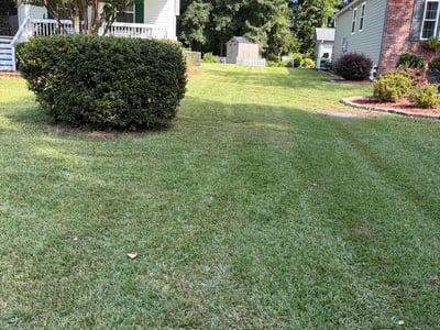 Lawn Care service in Wilmington, 01887