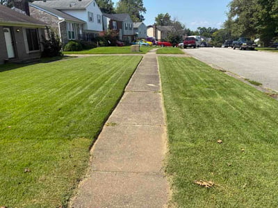 Lawn Care service in Pottstown, 19464