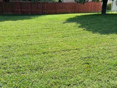 Lawn Care service in Spring Hill, 37174