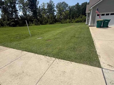 Lawn Care service in Spring Hill, 37174