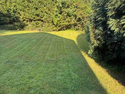 Lawn Care service in Brookhaven, 19015