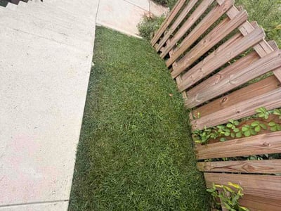 Lawn Care service in Brookhaven, 19015
