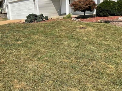 Lawn Care service in Pacific, 63069