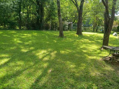 Lawn Care service in Toney, 35773