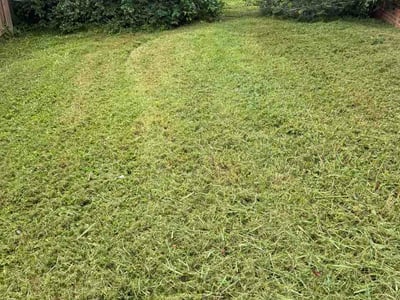 Lawn Care service in Toney, 35773