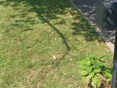 Lawn Care service in Roswell, 30075