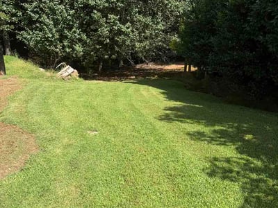 Lawn Care service in Roswell, 30075