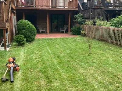 Lawn Care service in Joppa, 21085