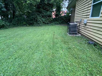 Lawn Care service in Joppa, 21085