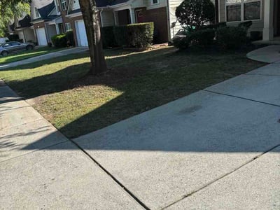 Lawn Care service in Ellenwood, 30294