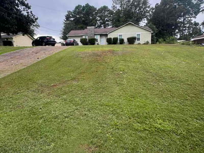 Lawn Care service in Ellenwood, 30294