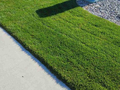 Lawn Care service in Post Falls, 83854