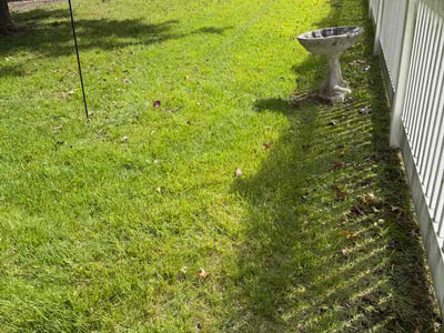 Lawn Care service in Piscataway, 08854
