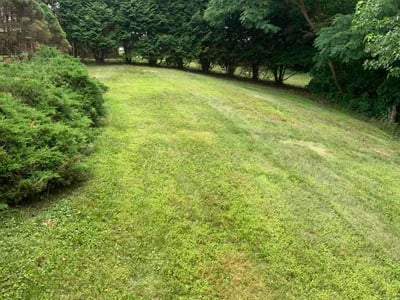 Lawn Care service in Piscataway, 08854