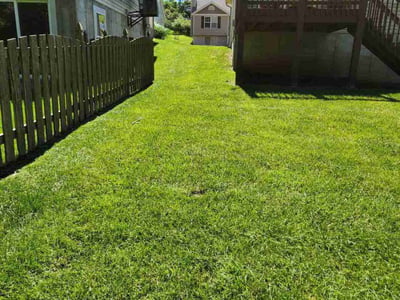 Lawn Care service in Fenton, 63026