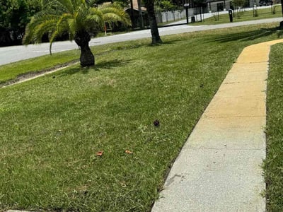 Lawn Care service in Watertown, 13601