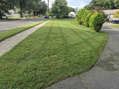 Lawn Care service in Piscataway, 08854