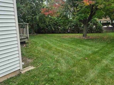 Lawn Care service in Des Plaines, 60016
