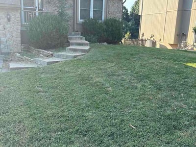 Lawn Care service in Waterloo, 64097