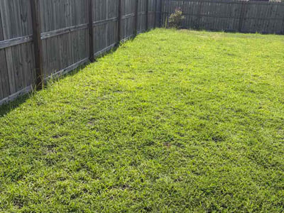 Lawn Care service in Piscataway, 08854