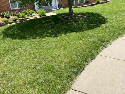 Lawn Care service in Wright City, 63390