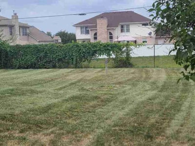 Lawn Care service in Des Plaines, 60016