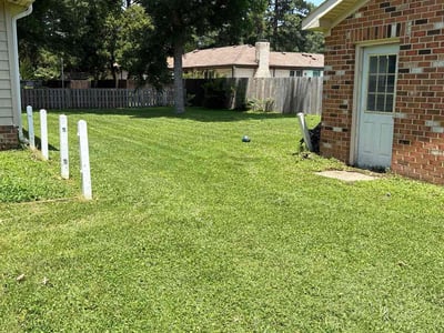 Lawn Care service in Avondale, 85323