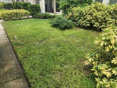Lawn Care service in Piscataway, 08854