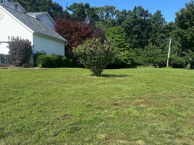 Lawn Care service in High Ridge, 63049