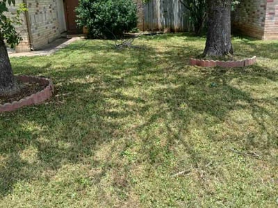 Lawn Care service in Natick, 01760