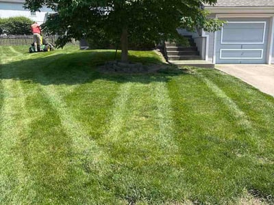 Lawn Care service in Platte City, 64079
