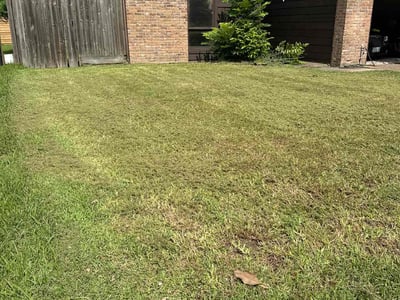 Lawn Care service in Sahuarita, 85629