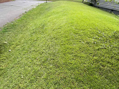 Lawn Care service in Duluth, 30096