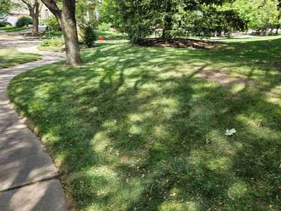 Lawn Care service in Granite City, 65401