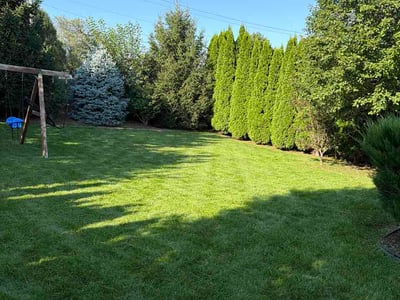 Lawn Care service in Granite City, 65401